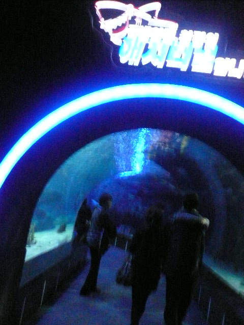 f0163920_0415721.jpg