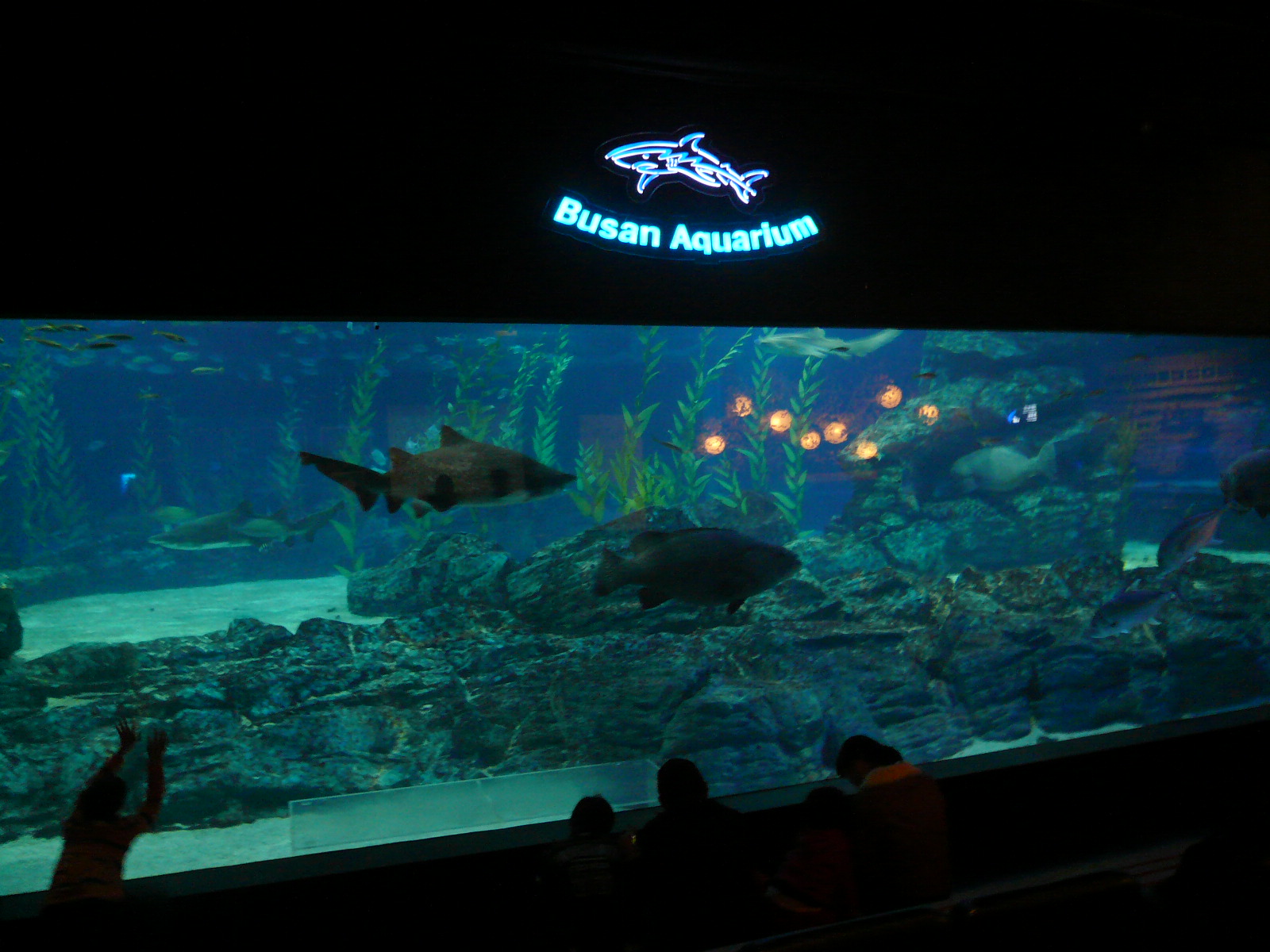 f0163920_0422898.jpg