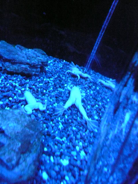 f0163920_053224.jpg