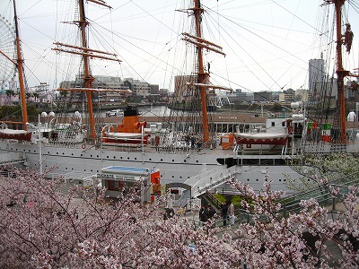 a0111621_1046416.jpg