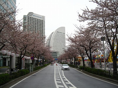 a0111621_10482262.jpg