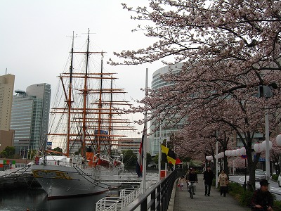 a0111621_1048846.jpg
