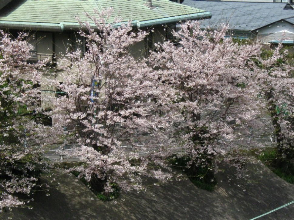 d0044222_214969.jpg