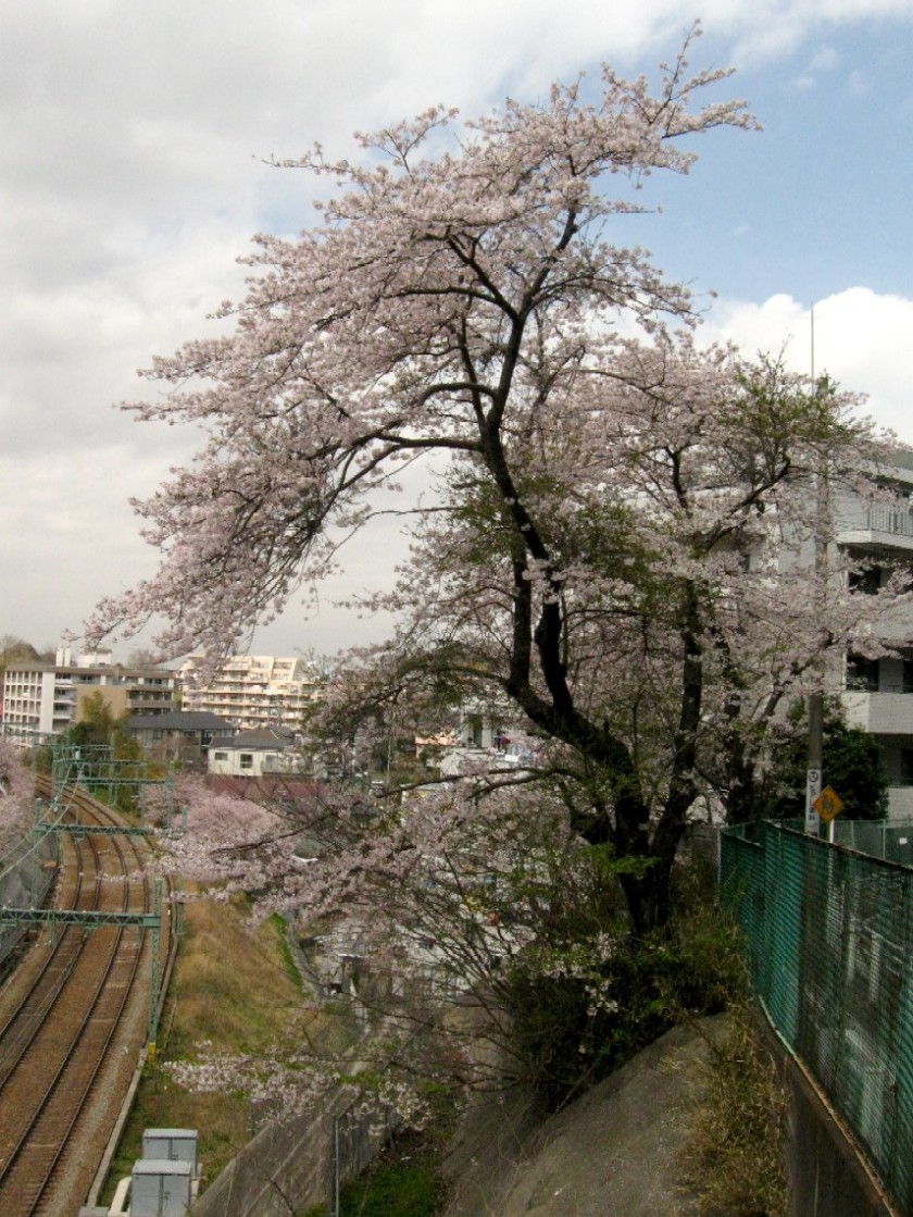 d0044222_21534975.jpg