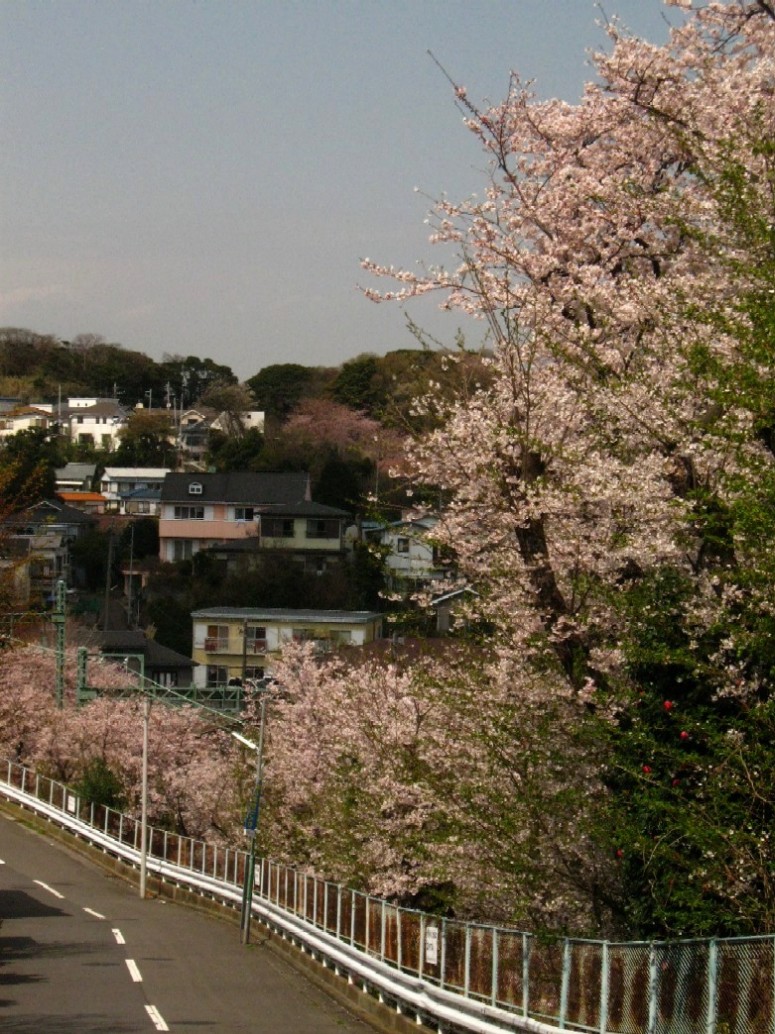 d0044222_2201250.jpg