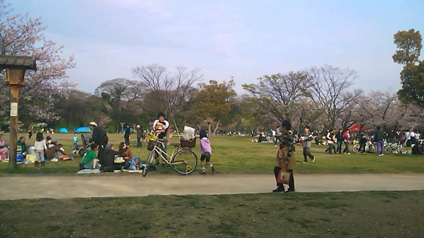 f0055423_1402865.jpg