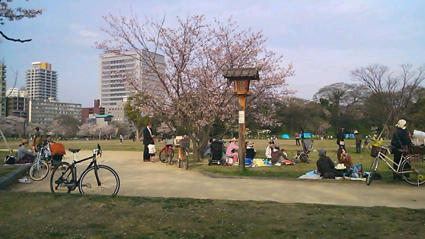 f0055423_1402878.jpg