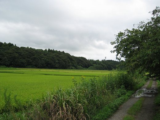 IMG_5184.jpg