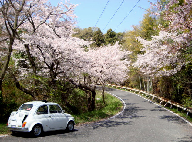 a0170230_2252229.jpg