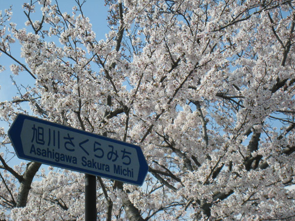 d0036630_19555945.jpg