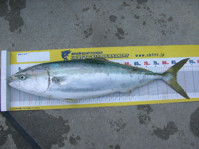 a0132631_0335260.jpg