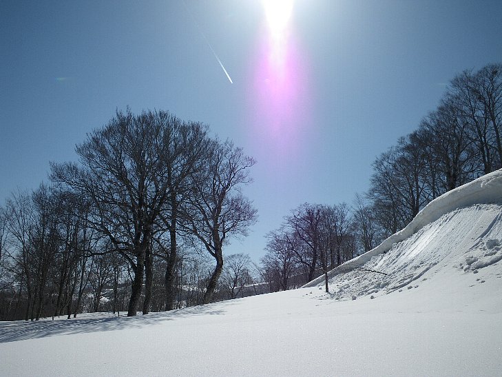 f0118332_1404928.jpg