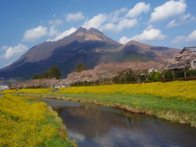 d0087639_7211088.jpg