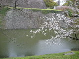 f0183939_282825.jpg