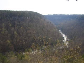 f0107640_1228194.jpg