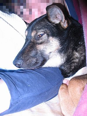 c0075641_010333.jpg