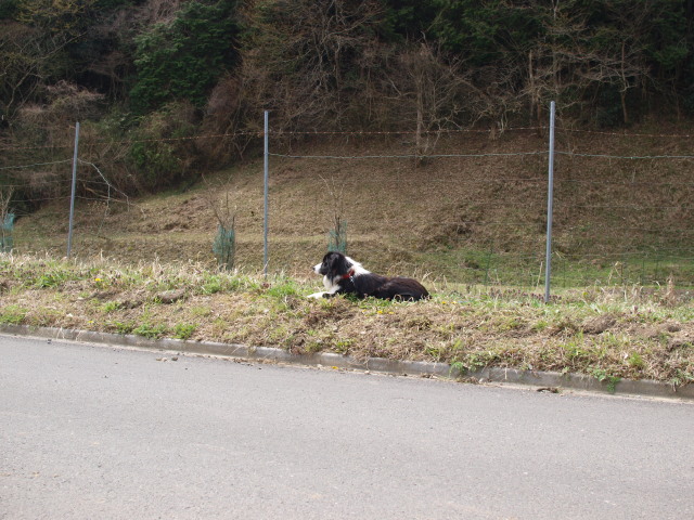 c0072843_18443060.jpg