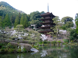 f0213347_636423.jpg