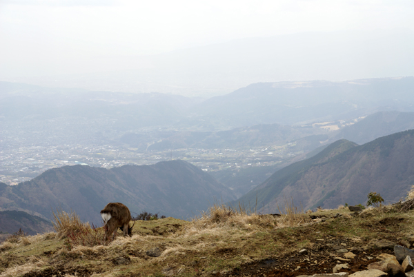 f0214649_6452250.jpg