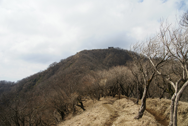 f0214649_6533782.jpg