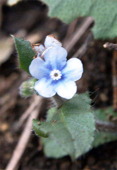 f0214649_713225.jpg