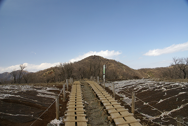 f0214649_792143.jpg