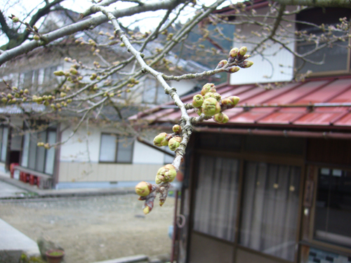 b0174451_8111569.jpg