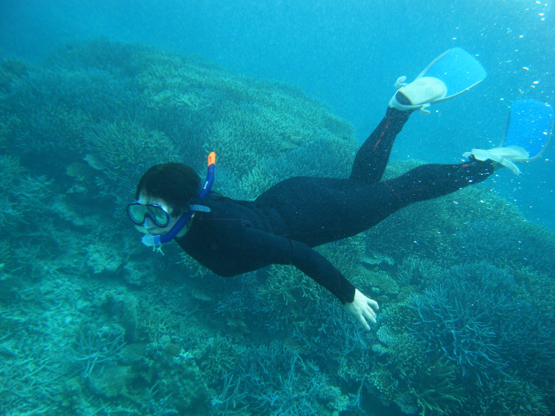 e0134752_223073.jpg