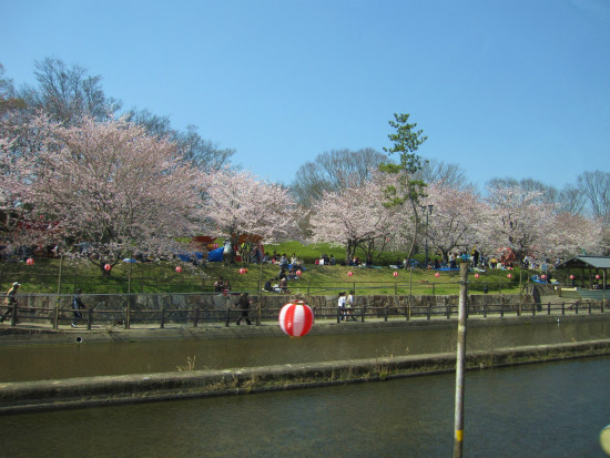 d0031853_15543369.jpg