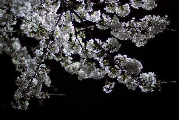 f0176353_035999.jpg