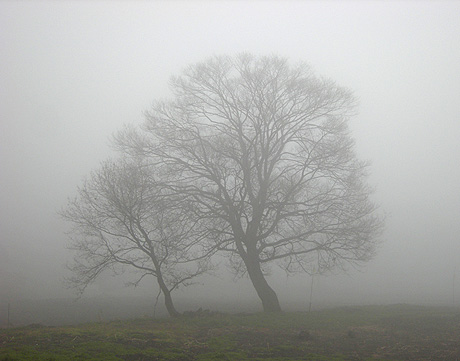 a0001354_21504052.jpg