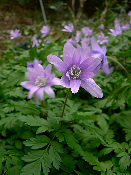 d0091754_16441016.jpg