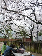 e0074954_22422418.jpg