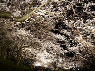 e0074954_2247924.jpg