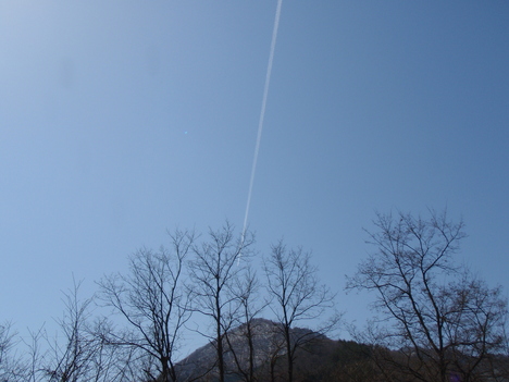 b0177355_043167.jpg