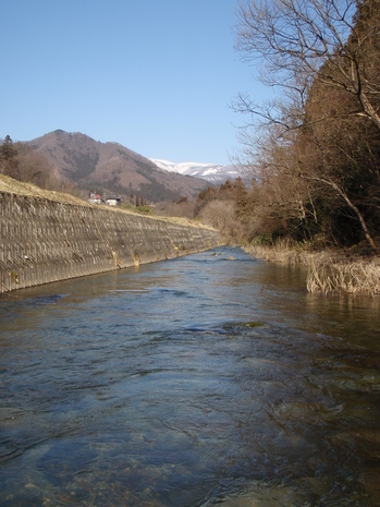 b0177355_0443864.jpg