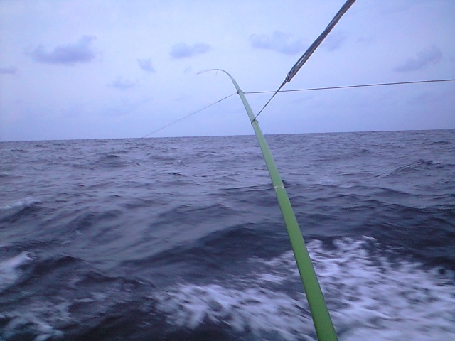 f0063356_15582472.jpg