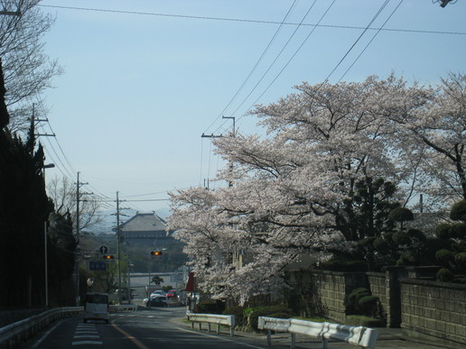 f0233356_10333919.jpg