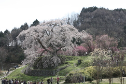 f0233356_10371742.jpg