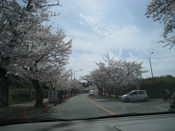 f0233356_10442487.jpg