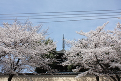 f0233356_10485590.jpg