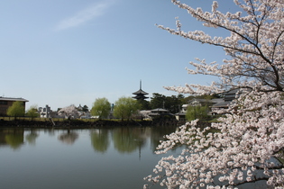 f0233356_1051413.jpg