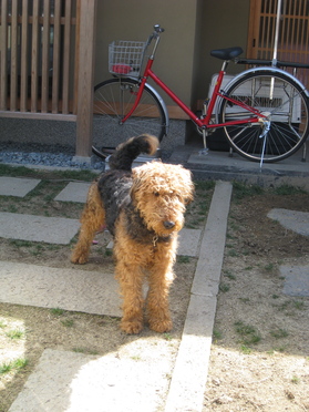 f0233356_1053462.jpg