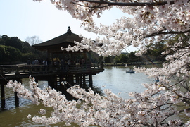 f0233356_10553014.jpg