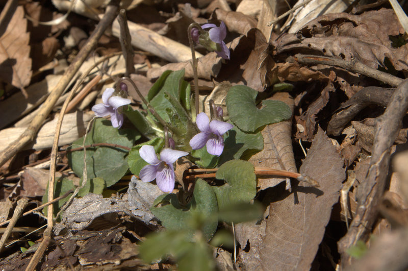 d0098057_448690.jpg