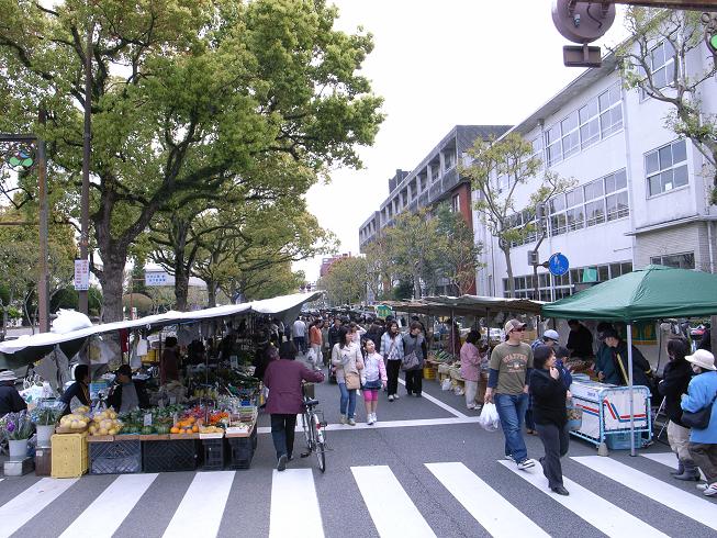 f0201157_09209.jpg