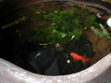 d0029958_20481833.jpg