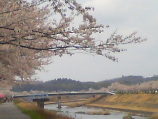 a0148061_1435473.jpg