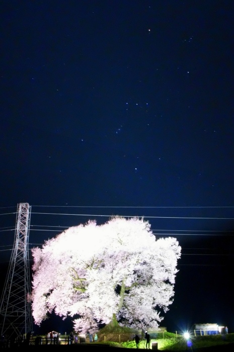 e0131161_18411499.jpg