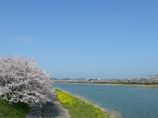 b0086362_22111056.jpg